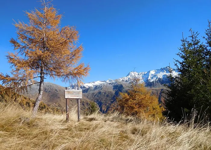 Haus Panoramablick דירה